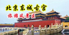 日操小骚屄小视频中国北京-东城古宫旅游风景区